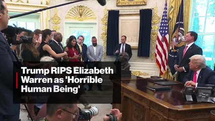 Trump rips Sen. Elizabeth Warren: 'she's a lair and a mean person'