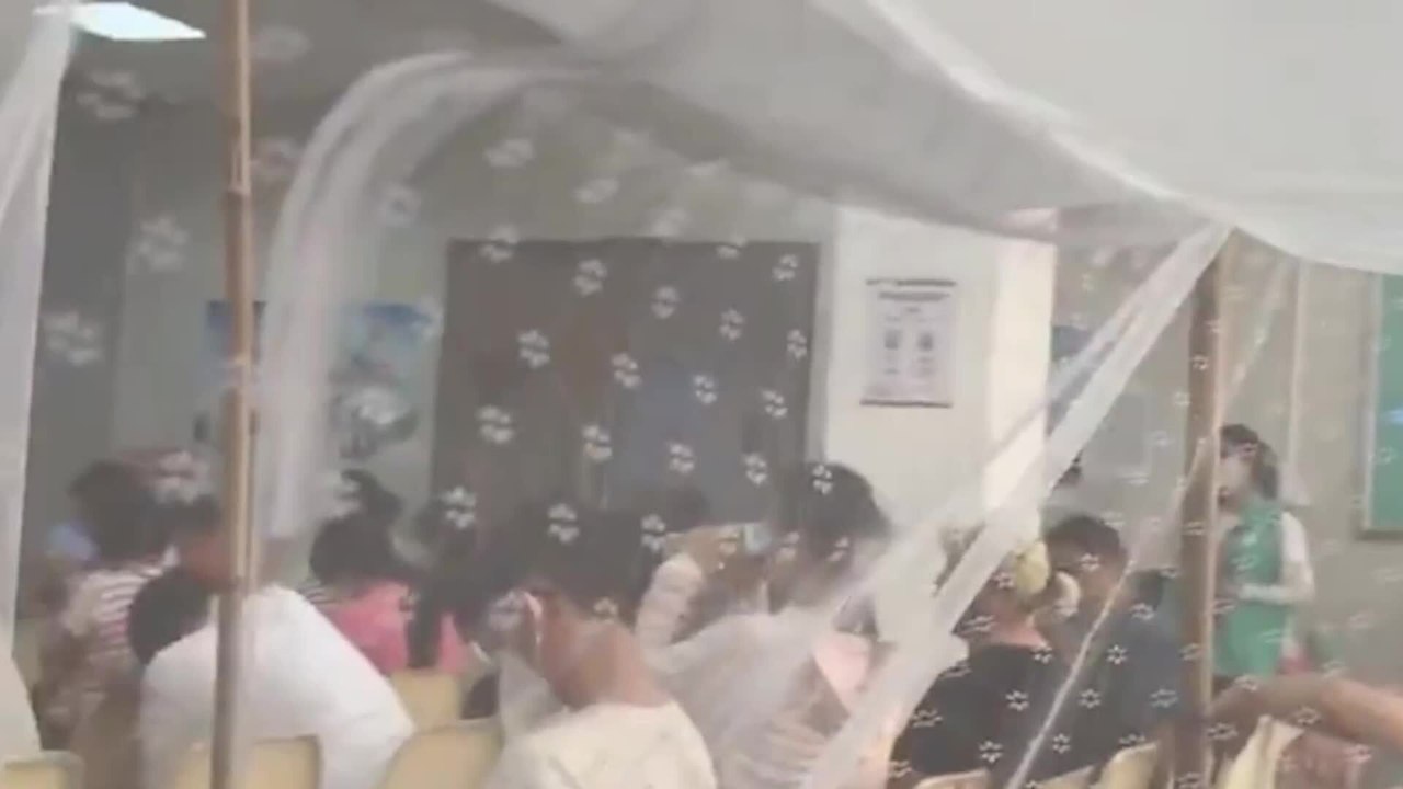 Pandemic fears sparked in China over chikungunya virus: What you need to know