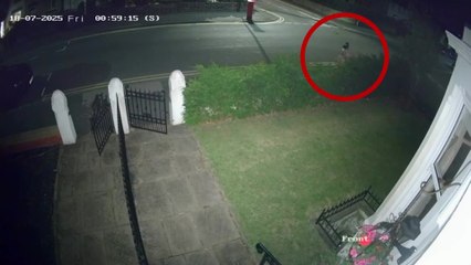 Police investigating naked man in 'gimp mask' seen prowling quiet town