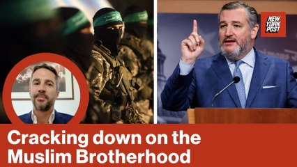 Cracking down on the Muslim Brotherhood | Red Hot Takes