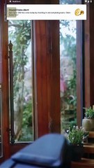 Chasing The Green Butterfly Full Movies English Sub