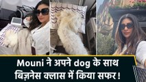 Mouni Roy अपने पेट dog के साथ फ्लाइट में करती दिखीं travel, शेयर कीं क्यूट तस्वीरें