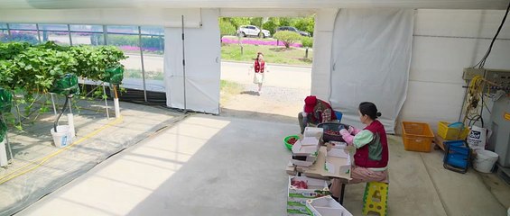 Genie make a wish (2025) Season 1 Episode 4 Hindi dubbed #Movies #WebSeries #Cinema #Entertainment #Film #BingeWatch #Streaming #OTT #MovieLovers #SeriesAddict #WatchNow #NowStreaming #MovieTime #TVShows #FilmBuff #ShowTime #ScreenLife #ReelTime #Drama