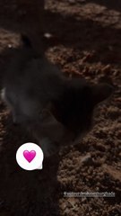 Elodie Gossuin @Instagram