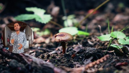 Our origin is like the origin of an ant.🐜