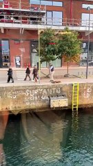 Living his best life! 🕺🔥 #ravers #90srave #oldschool #housemusic #technomusic #rave #dancing #techno