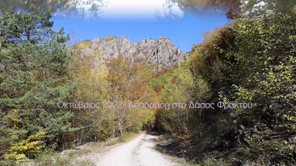 Απόδραση στο Δάσος Φρακτού, Οκτώβριος 2022