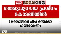 തെരുവുനായ പ്രശ്‌നത്തിൽ സത്യവാങ്മൂലം നൽകാത്ത ചീഫ് സെക്രട്ടറിമാർ സുപ്രിംകോടതിയിൽ ഹാജരാകണം