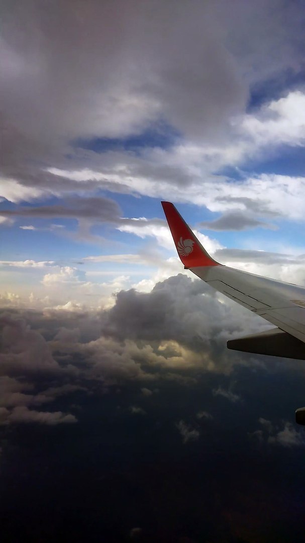 ⁣International flights