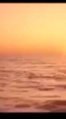 Sapore di mare 2 - La barca di Alina - Mauro Di Francesco