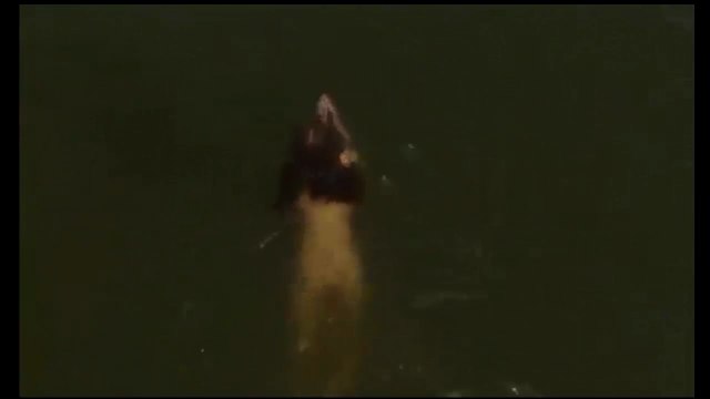 Obnazhennaya Natura 2002