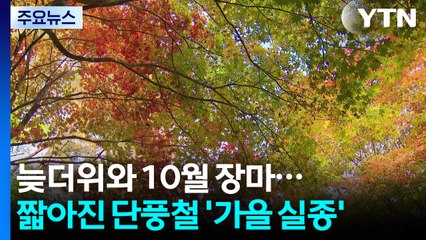늦더위와 10월 장마...짧아진 단풍철 '가을 실종' / YTN