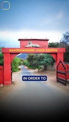 The Animal  || Acharya Prashant