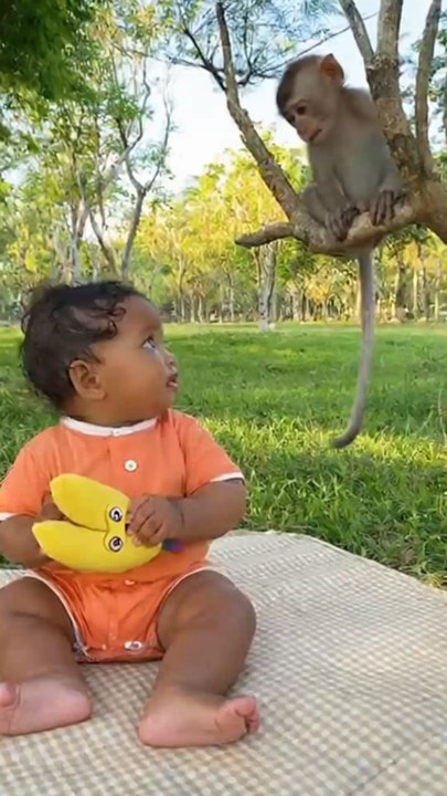 Baby Copies Monkey Faces | Funniest Duo Ever! 🐒😂”#BabyAndMonkey #FunnyMoments #CuteBaby #AdorableDuo #MonkeyLove #ViralShorts #Wholesome #Heartwarming #PureJoy #BabyLaughs #TooCute #AnimalFriendship #ViralVideo