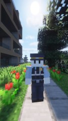 Un KIKOO est transformé en magicien géant sur Minecraft ! 🤯