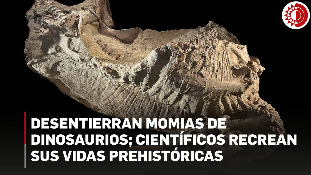 Desentierran momias de dinosaurios; científicos recrean sus vidas prehistóricas