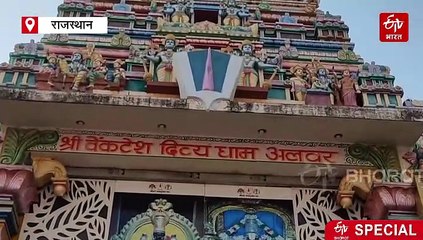 अलवर के वेंकटेश बालाजी मंदिर की शोभा बनीं पुंगनूर नस्ल की गायें, आंध्रप्रदेश के पुंगनूर से लाई गईं राधा और कृष्ण