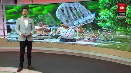 Citricultores de Álamo Temapache reportan pérdidas por inundaciones y derrames