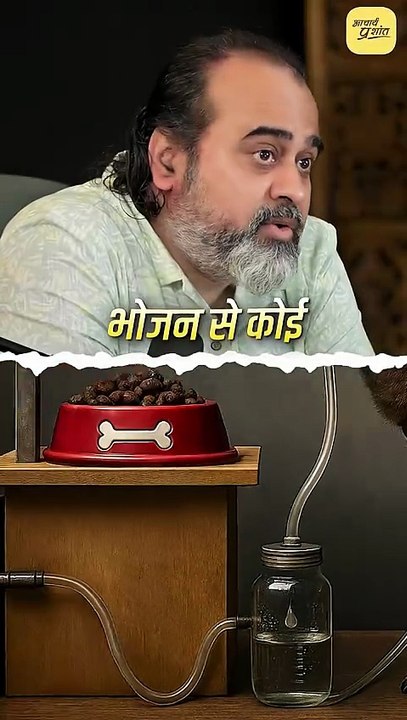 हमारा मालिक कौन? || आचार्य प्रशांत