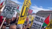 free Palestine_support Palestine