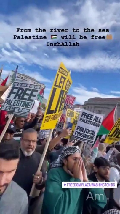 free Palestine_support Palestine