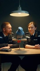 The Cracker Trap #yputubeshorts #funny #viral #facts #shortfeeds #cartoon  #BritishPolice #CinematicShort #ViralVideo #TalkingParrot #BritishAccent #DryHumor #BritishBanter