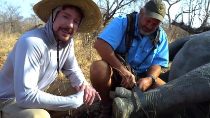 I Saved 1,000 Animals From Dying @MrBeast