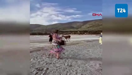 Nesli tehlikedeki kızıl geyik plajda görüntülendi