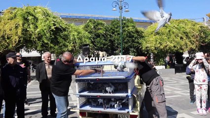 Walk For Freedom στη Δράμα 2017