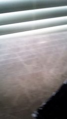 American Broadcasting Company