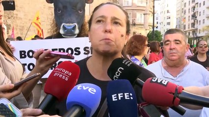 Duodécima manifestación para pedir la dimisión de Mazón