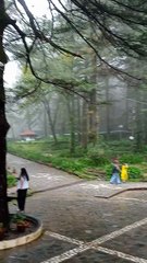 Himachal Pradesh Church Street Vedio