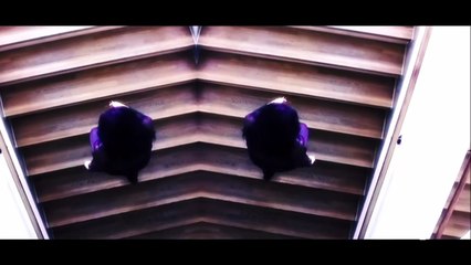 TARJA — “Against The Odds” | TARJA — ACT II – Filmed at TEATRO DELLA LUNA, ASSAGO, MILAN, ITALY · NOVEMBER 29th. 2016 | 【DVD 2】