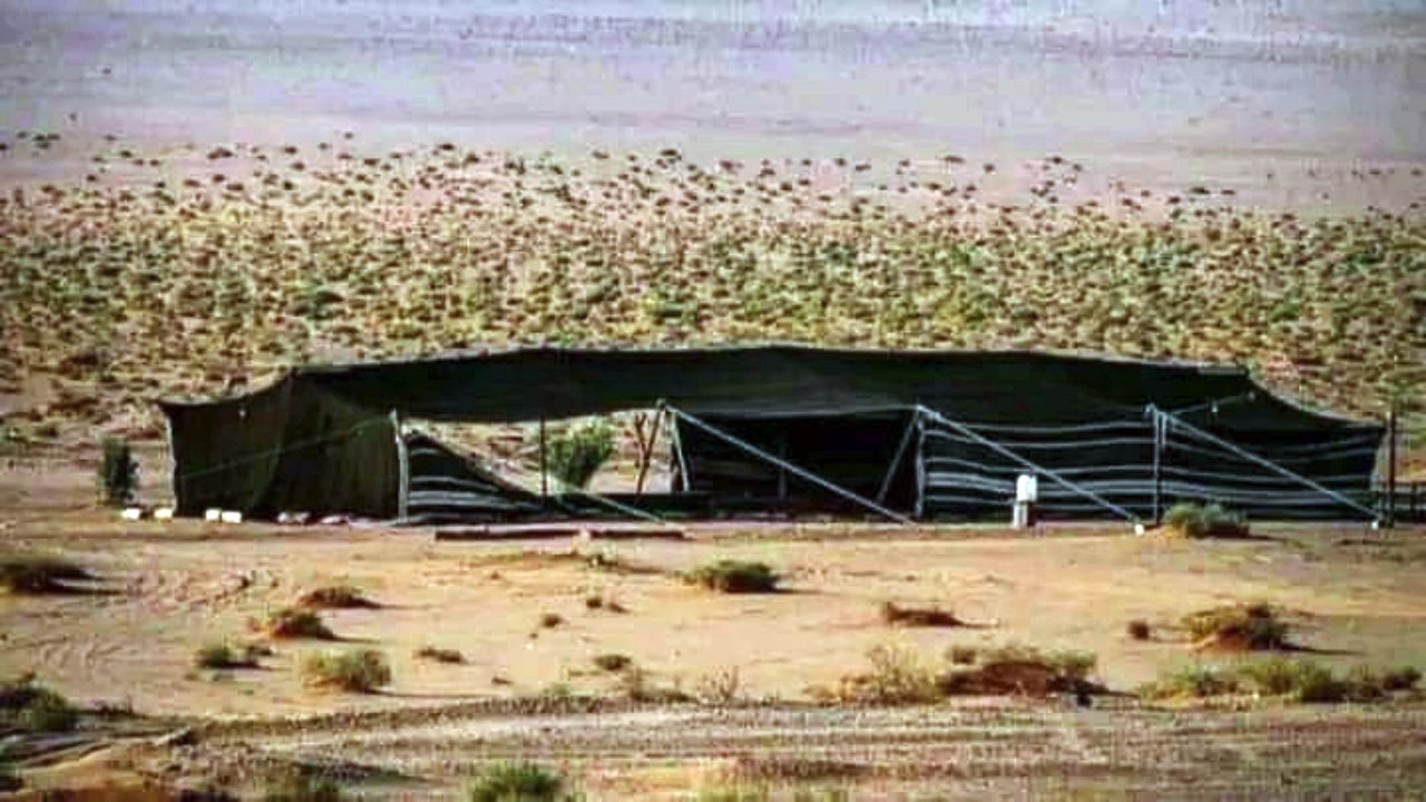 علي الفرهود (1)