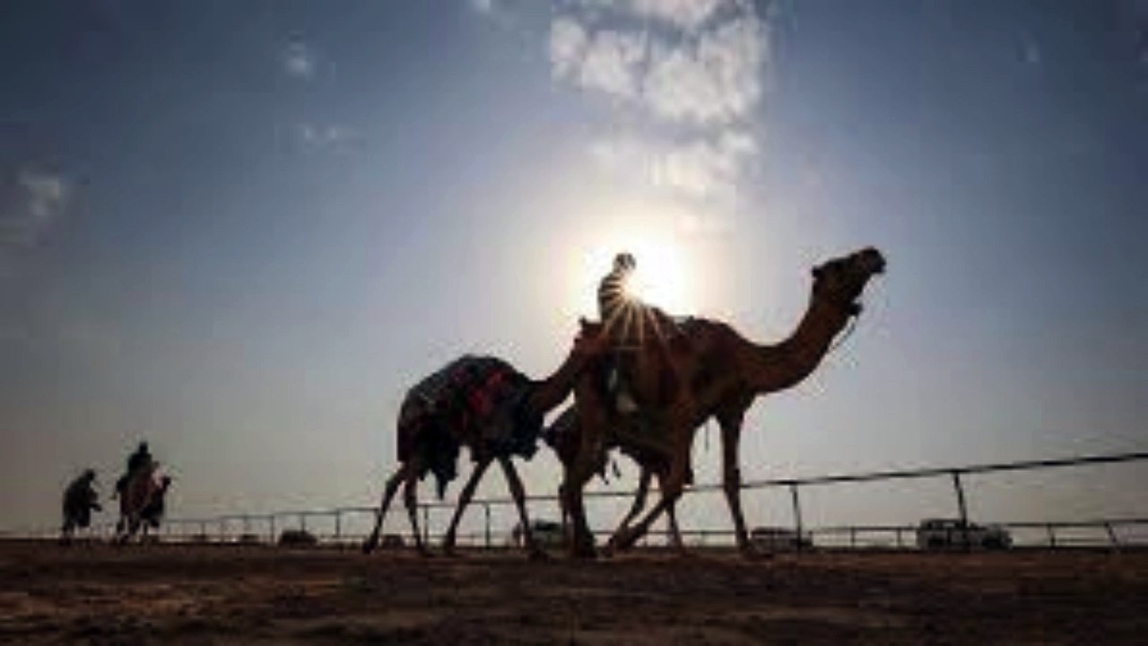 علي الفرهود