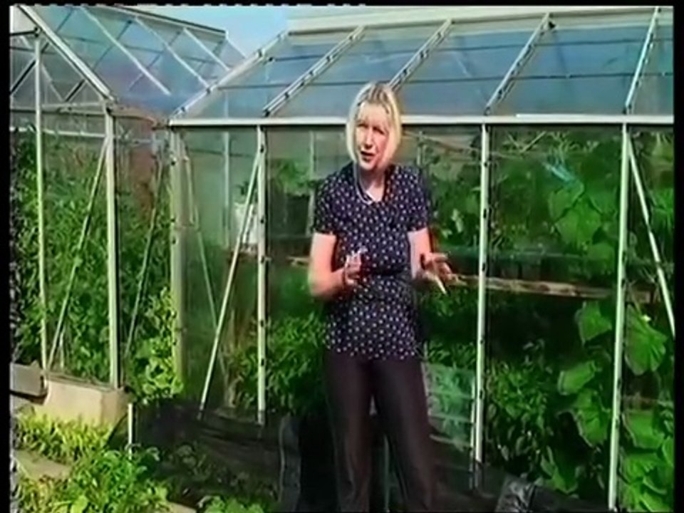 KBV-120 Grow With us Video No 6