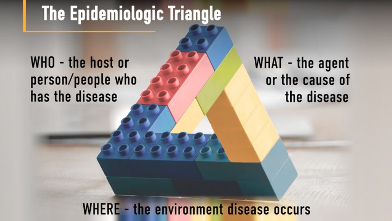 What Is Epidemiology?