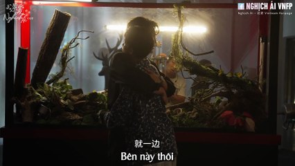 Vietsub Hậu trường ngày 07/08/2024 - Phần 25 → 31