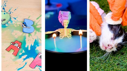 Adorable Moment 🐾 Caring For A Tiny Kitten