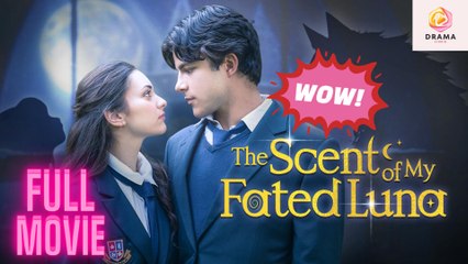 [New] The Scent of My Fated Luna #dramabox - Full Movie  Drama Hub
