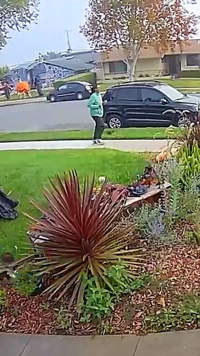 Jogger knocks down Halloween decorations for no apparent reason