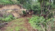 Professional Road Service Techniques with D6R XL Bulldozer in Plantations