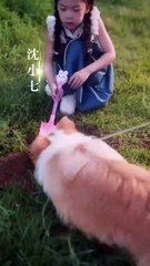 Her Magical Baby Talks to Animals… and Turns Cold-Hearted CEO into a Loving Daddy for Her and Mommy