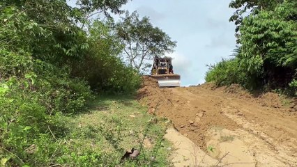 D6R XL Bulldozer Modern Technology for Plantation Road Repair