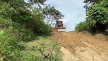 D6R XL Bulldozer Modern Technology for Plantation Road Repair