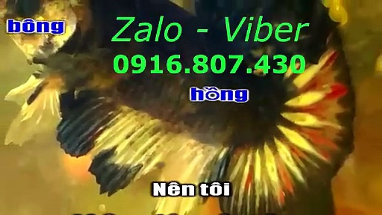 Mux251023104212