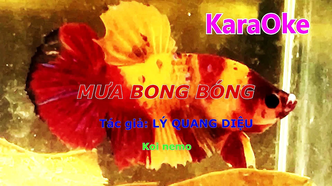 Mux251024083437