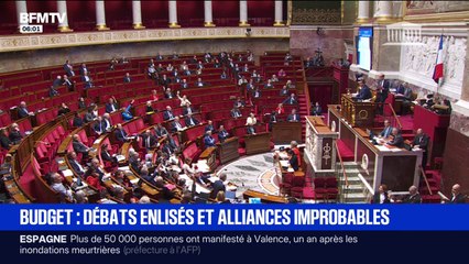 Du RN à LFI, une journée de débats sur le budget à l'Assemblée nationale marquée par des alliances inattendues