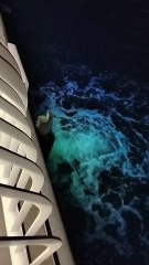 beautiful view of flag island 🏝️ sharjah sea ⛵