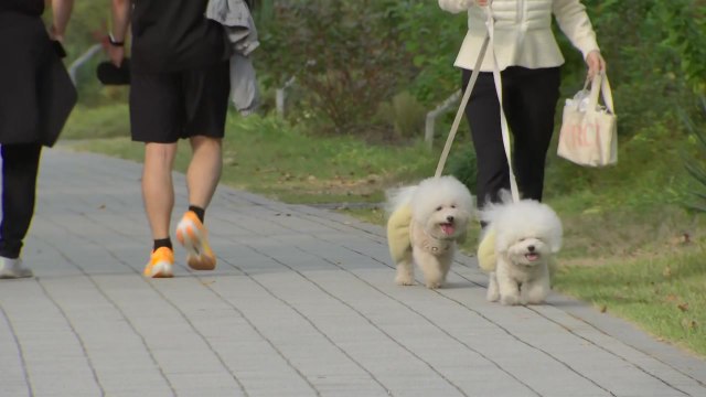 밤부터 기온 뚝...경기·강원·충북·경북 곳곳 올가을 첫 한파특보 / YTN